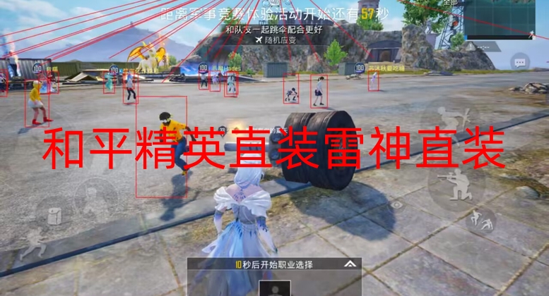 正版卖挂网站和平精英便宜-和平精英直装雷